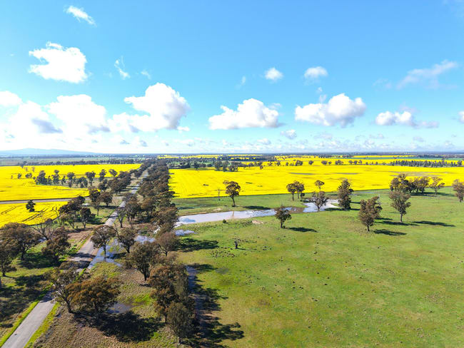 1539 Bland Road Quandialla NSW 2721 1539 Bland Road Quandialla NSW 2721
