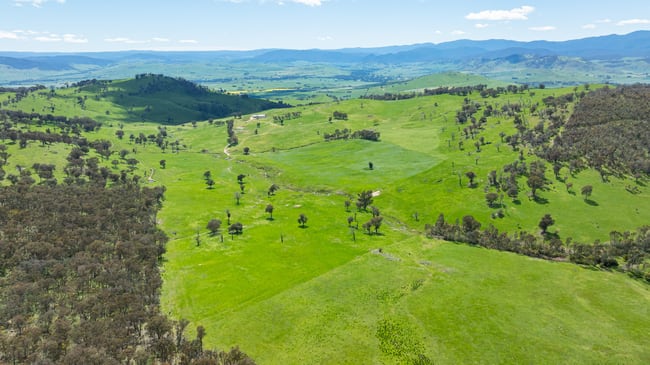 16/ Ranch Road Tintaldra VIC 3708 16/ Ranch Road Tintaldra VIC 3708
