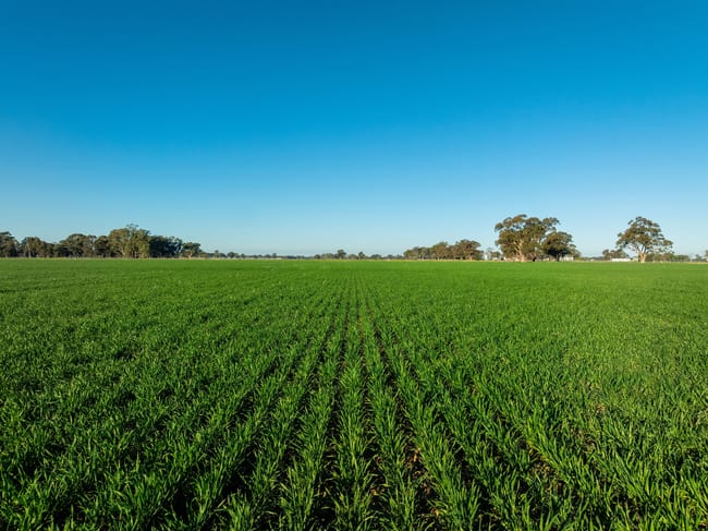 479 Stokes Road Strathmerton VIC 3641 479 Stokes Road Strathmerton VIC 3641