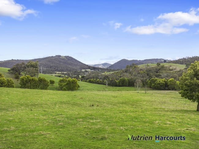 3918 Whittlesea-Yea Road Flowerdale VIC 3717 3918 Whittlesea-Yea Road Flowerdale VIC 3717
