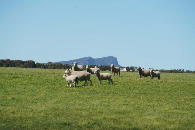 3078 Victoria Point Road Moutajup VIC 3294