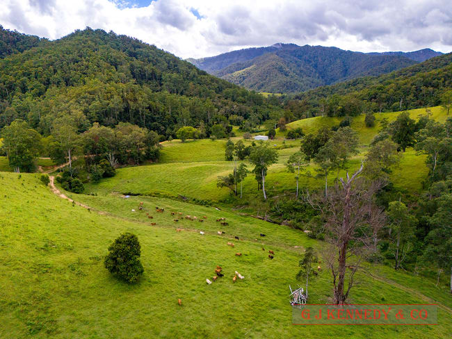 Lot 104/123 Thumb Creek Rd Thumb Creek NSW 2447