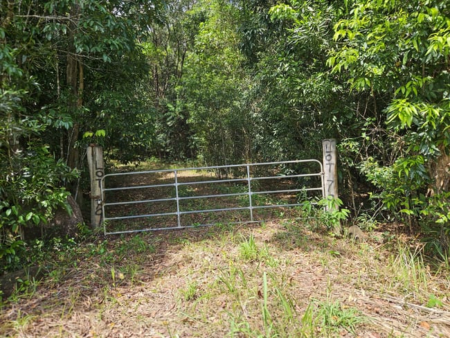 2401 Rossville Bloomfield Road Bloomfield QLD 4895 2401 Rossville Bloomfield Road Bloomfield QLD 4895