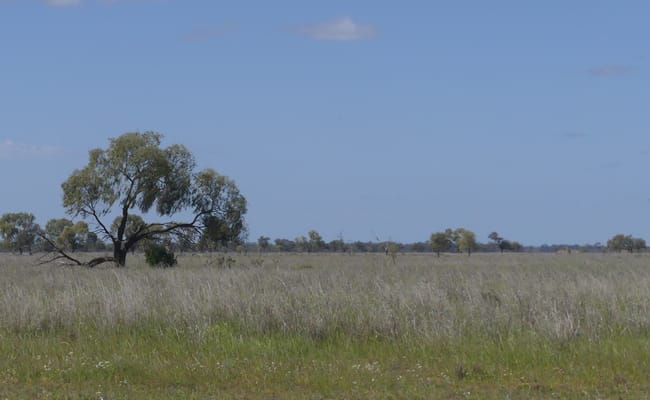 Warren NSW 2824 Warren NSW 2824