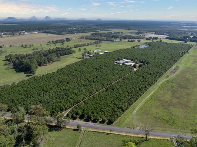 32 Beerburrum Donnybrook Road Donnybrook QLD 4510