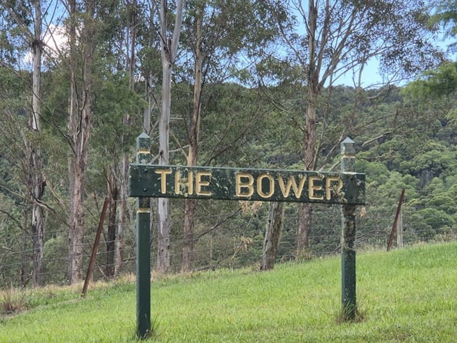 Dorrigo NSW 2453 Dorrigo NSW 2453