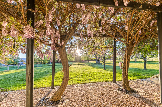 229 Melrose Road Mudgee NSW 2850