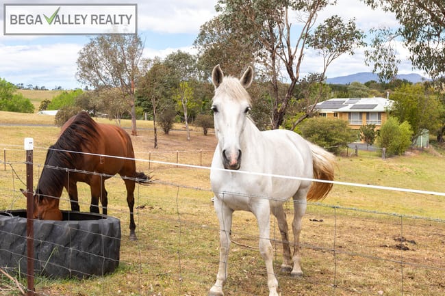 5 Springfield Road Kameruka NSW 2550 5 Springfield Road Kameruka NSW 2550