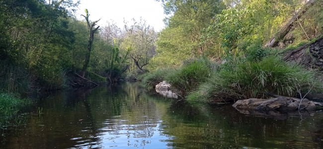 Lot 11 Ewingar Road Bulldog NSW 2469 Lot 11 Ewingar Road Bulldog NSW 2469