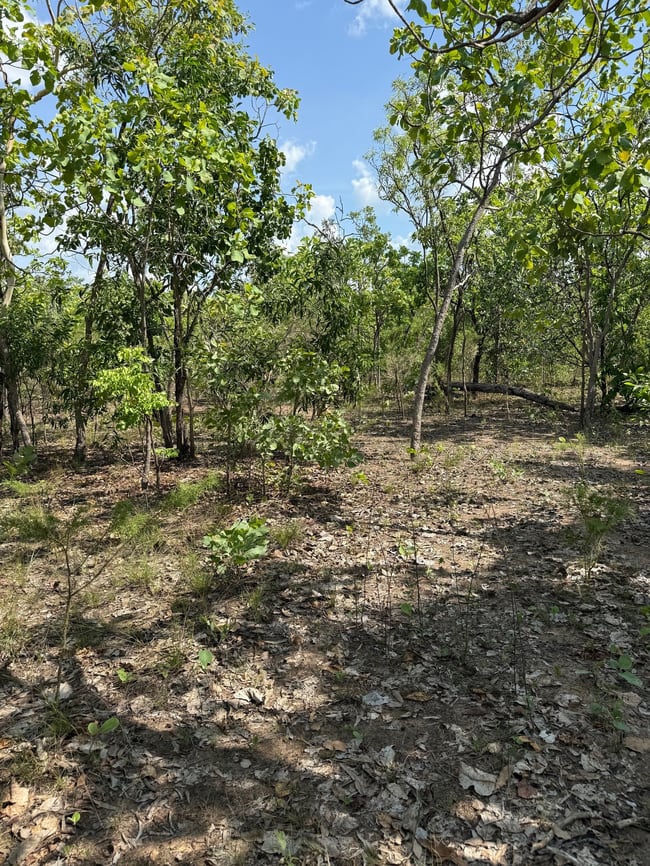 133 Stephen Road Marrakai NT 0822
