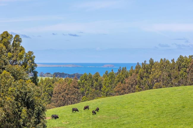 201 Old Cottontree Road Flinders VIC 3929 201 Old Cottontree Road Flinders VIC 3929