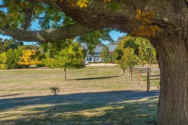265 Pudding Bag Road Drummond VIC 3461