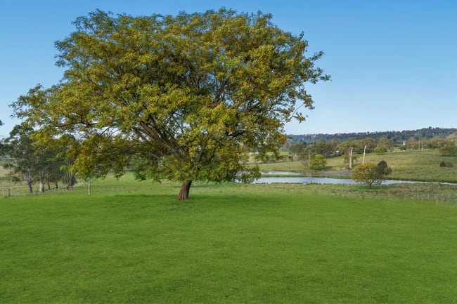 256 Veresdale Scrub School Road Veresdale Scrub QLD 4285
