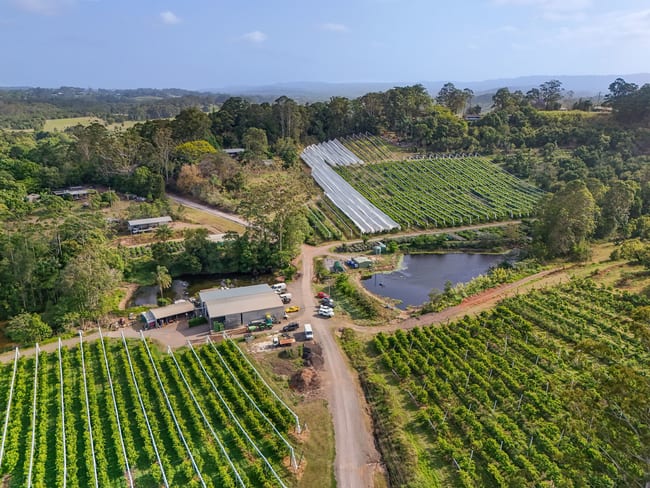43 Pringle Road Rosemount QLD 4560