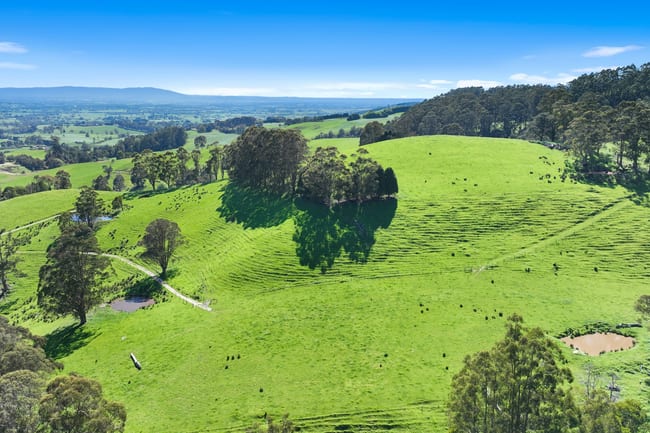 196 Peters Road Ellinbank VIC 3821 196 Peters Road Ellinbank VIC 3821