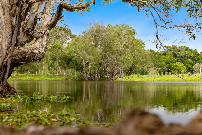 6 Canando Street Woodford QLD 4514 6 Canando Street Woodford QLD 4514