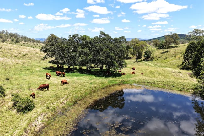 516 Scrub Creek Road Scrub Creek QLD 4313 516 Scrub Creek Road Scrub Creek QLD 4313