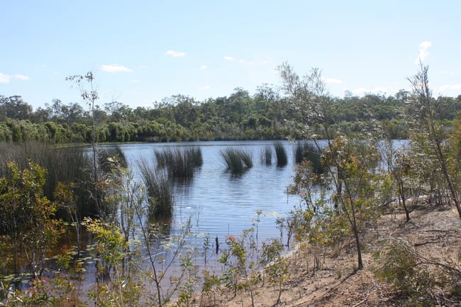 13/ Barnards Road Moorland QLD 4670 13/ Barnards Road Moorland QLD 4670
