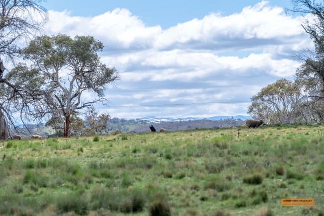 Lot 6 Avonside Road Avonside NSW 2628 Lot 6 Avonside Road Avonside NSW 2628