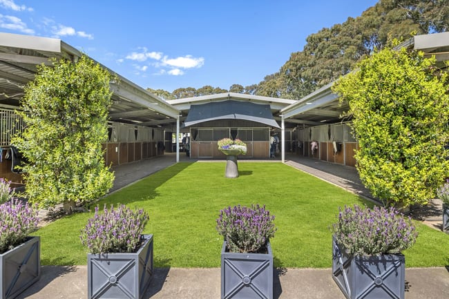 356 Shands Road Main Ridge VIC 3928 356 Shands Road Main Ridge VIC 3928