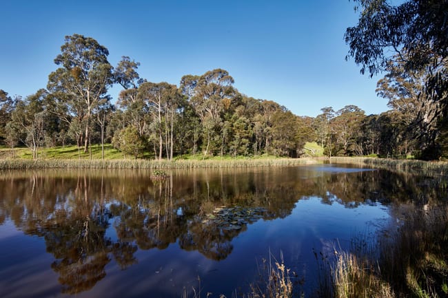 155 Neill Road Clonbinane VIC 3658