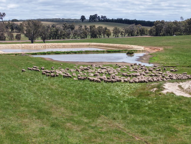 203 Simcock Road Chowerup WA 6244
