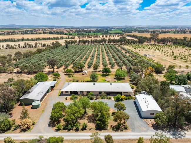 20/444 Rivers Road Canowindra NSW 2804