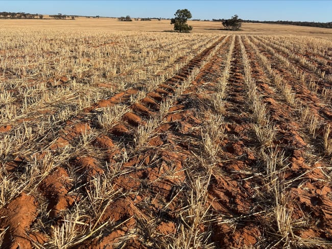 4049 Mallee Highway Manangatang VIC 3546 4049 Mallee Highway Manangatang VIC 3546