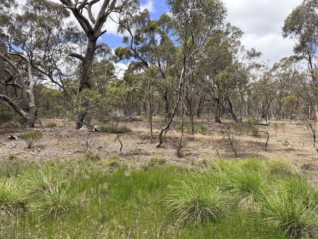 Allotment 1A Wimmera Highway St Arnaud VIC 3478