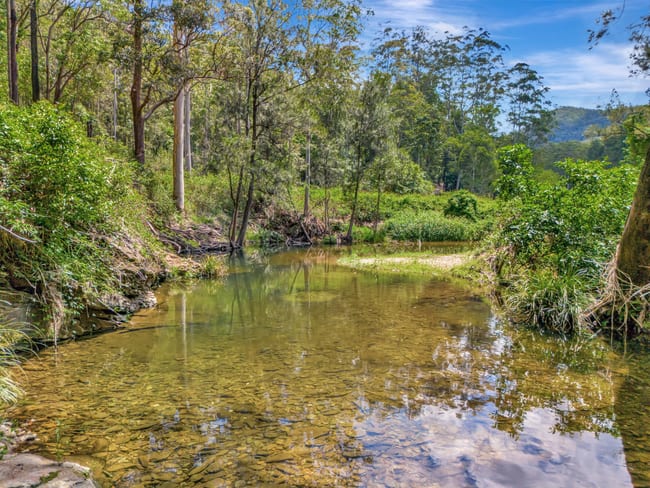 739 Upper Buckrabendinni Road Buckra Bendinni NSW 2449