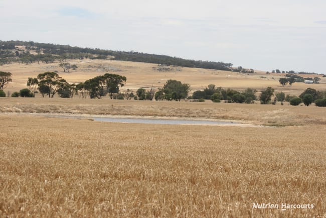 Lot 1306 Talbot West Road Talbot West WA 6302 Lot 1306 Talbot West Road Talbot West WA 6302