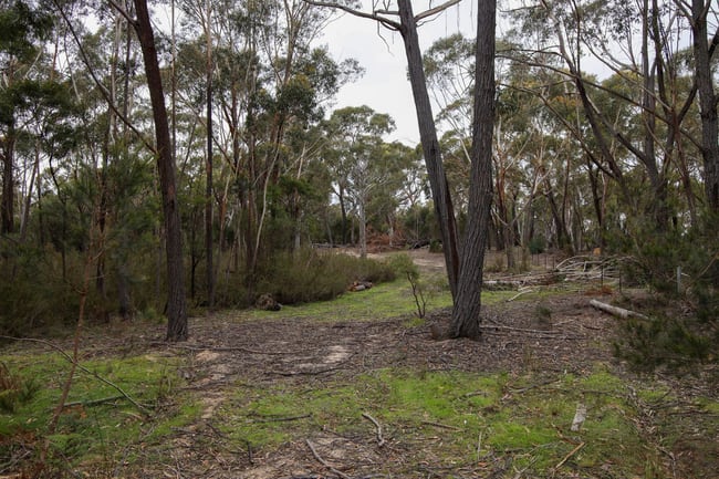 1887 Oallen Ford Road Oallen NSW 2622