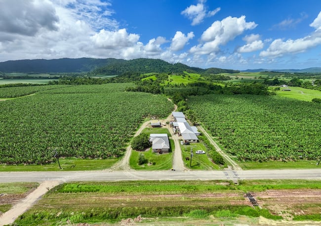 192 Walter Lever Estate Road Walter Lever Estate QLD 4856 192 Walter Lever Estate Road Walter Lever Estate QLD 4856