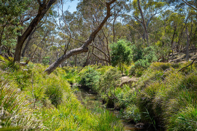 Lot 101 Lucks Lane Lerida Via Gunning NSW 2581 Lot 101 Lucks Lane Lerida Via Gunning NSW 2581