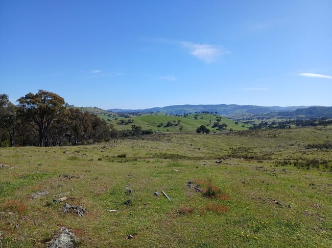 Lot 161 Eldridges Lane Taylors Flat NSW 2586