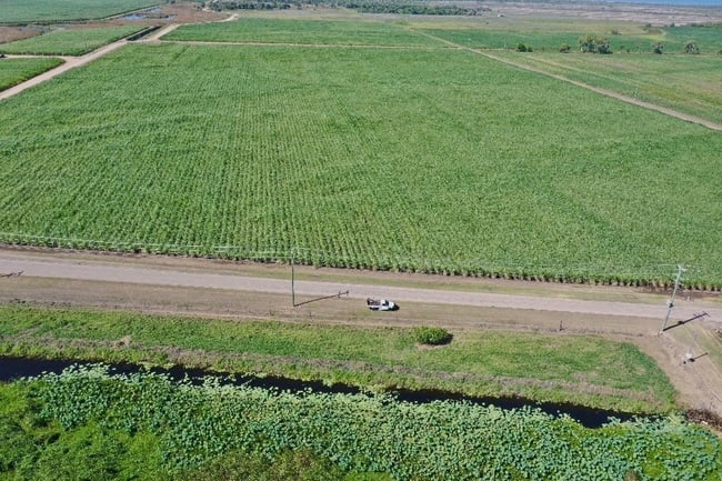 449 Trent Road Alva QLD 4807 449 Trent Road Alva QLD 4807