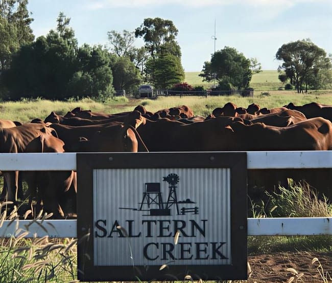 1970 Saltern Creek Road Barcaldine QLD 4725 1970 Saltern Creek Road Barcaldine QLD 4725