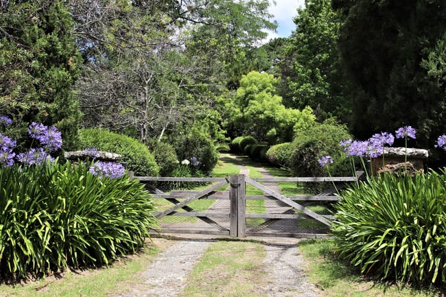 1045 Old Hume Hwy Alpine NSW 2575