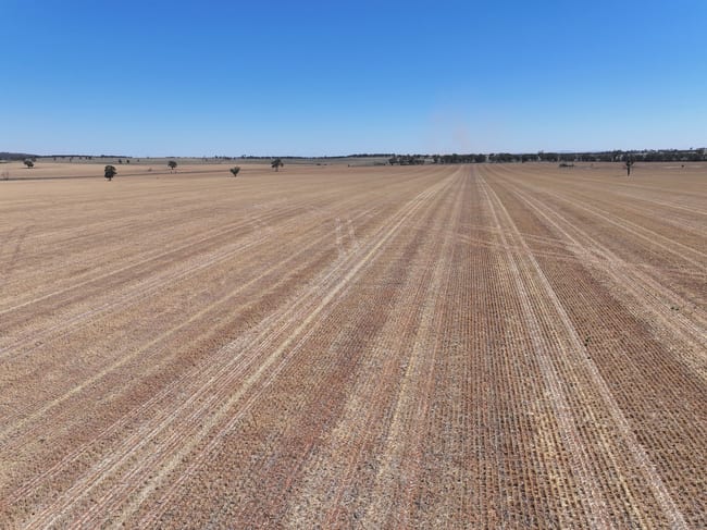 'Nolens' 5000 Barellan Road Colinroobie NSW 2700 'Nolens' 5000 Barellan Road Colinroobie NSW 2700