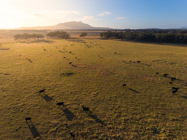 3/43303 South Coast Highway Manypeaks WA 6328 3/43303 South Coast Highway Manypeaks WA 6328