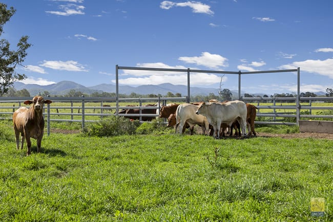 85 Colinwood Lane Boyne Valley QLD 4680