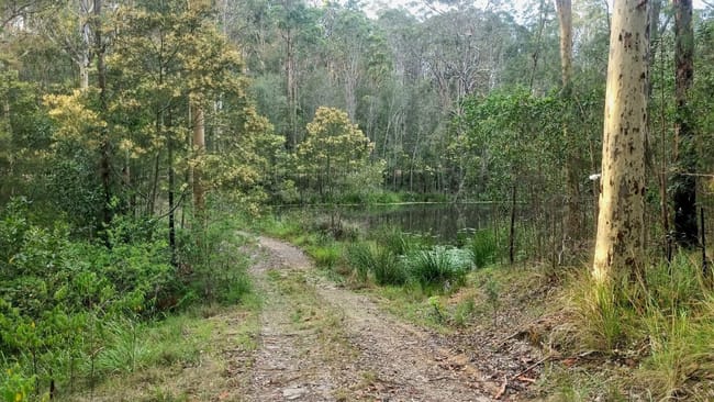 23/ Mud Flat Road Drake NSW 2469 23/ Mud Flat Road Drake NSW 2469