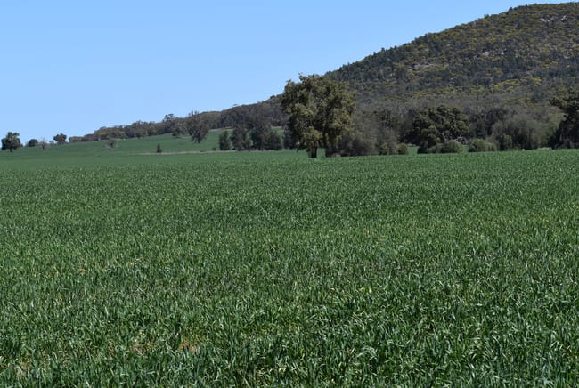 120 Ganantagi Road Yarrabandai NSW 2875