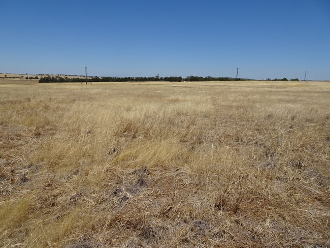 160 Chittleborough Road Brookton WA 6306 160 Chittleborough Road Brookton WA 6306