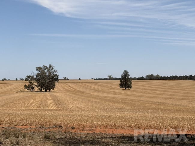 9547 Mahonga Road Urana NSW 2645