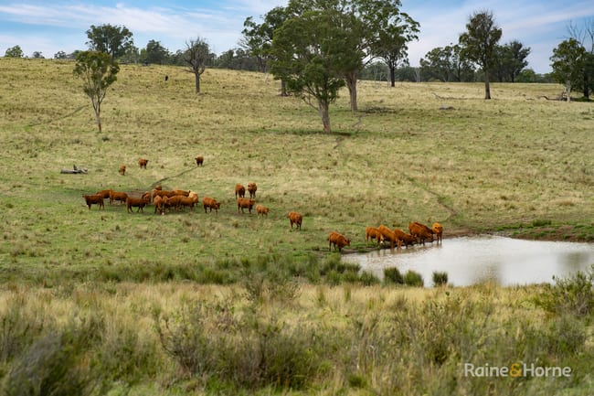 733 Niangala Road Walcha NSW 2354 733 Niangala Road Walcha NSW 2354