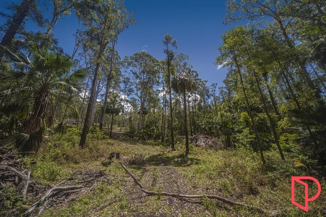 42 Turpentine Road Tomerong NSW 2540