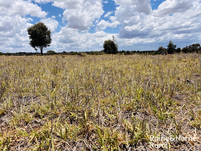 330 Burrow Downs Road Injune QLD 4454 330 Burrow Downs Road Injune QLD 4454