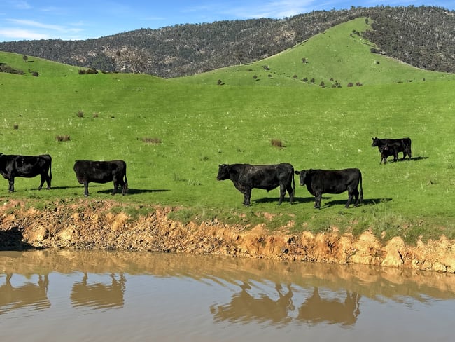 LOT 2 ON PS716983N L J DAWSON ROAD Elmhurst VIC 3469