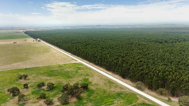Wattle Range SA 5280